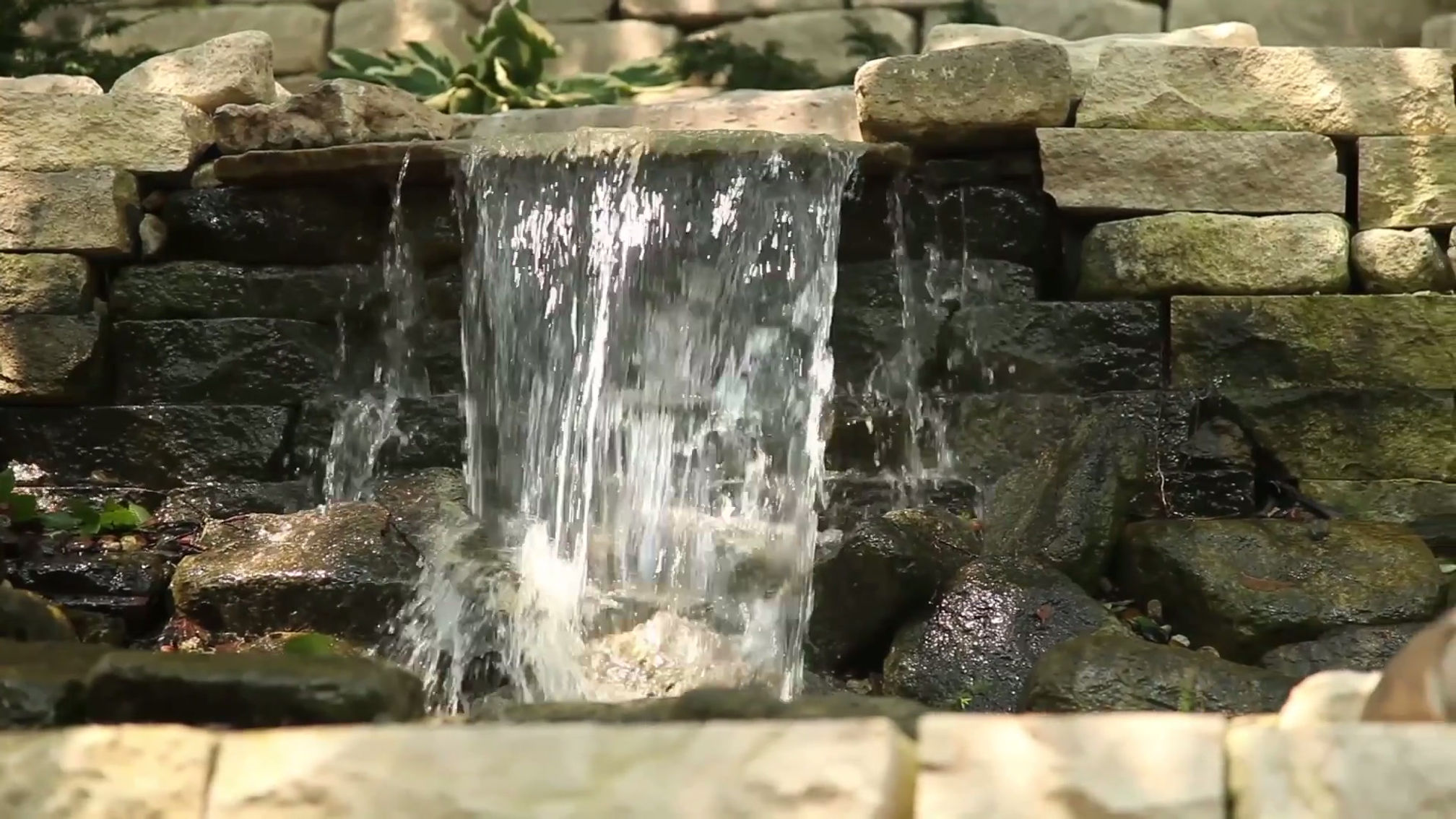 Master Landscape, Inc. 2024